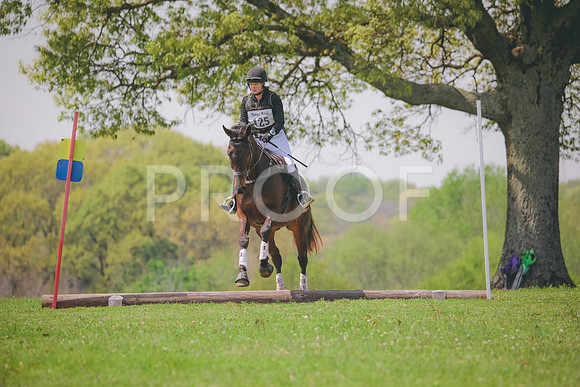 RWP_3886