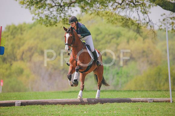 RWP_3913