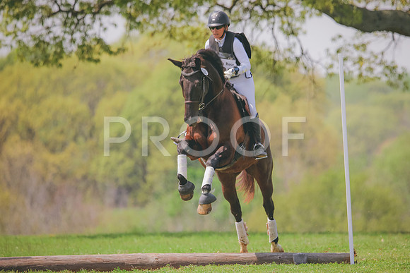 RWP_3878