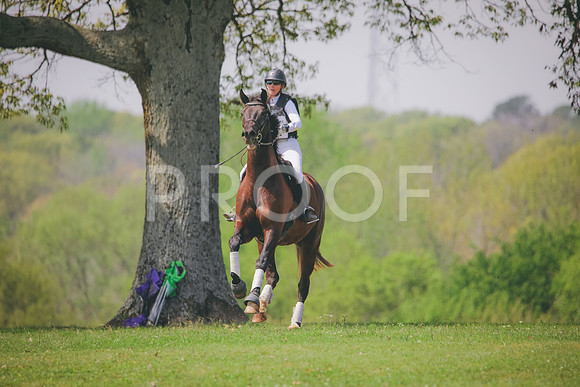 RWP_3876
