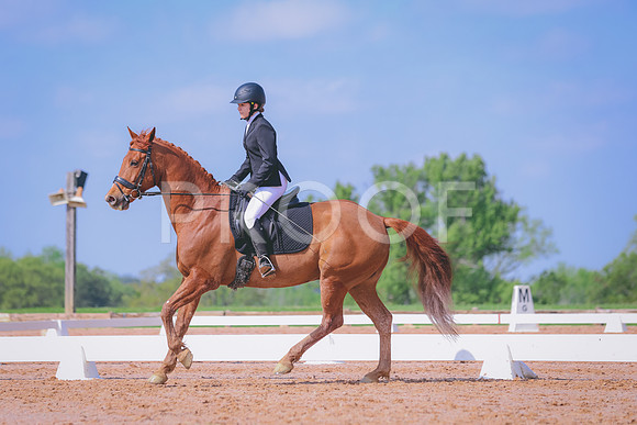 TKPL7749