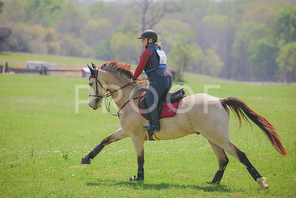 RWP_4031