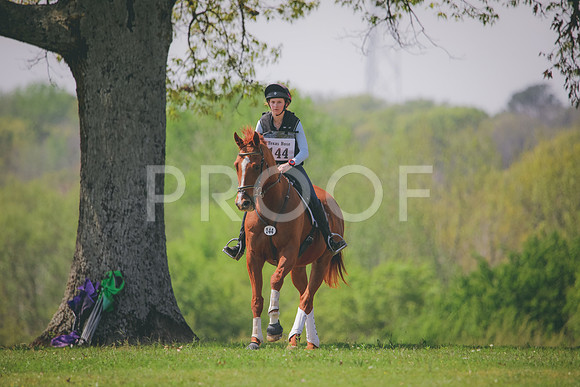 RWP_4037