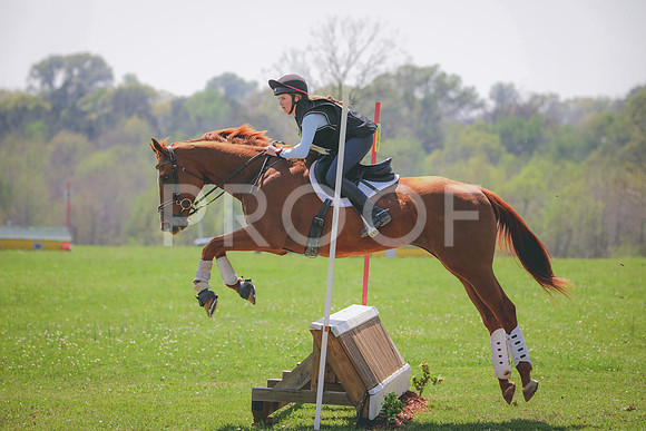 RWP_4042