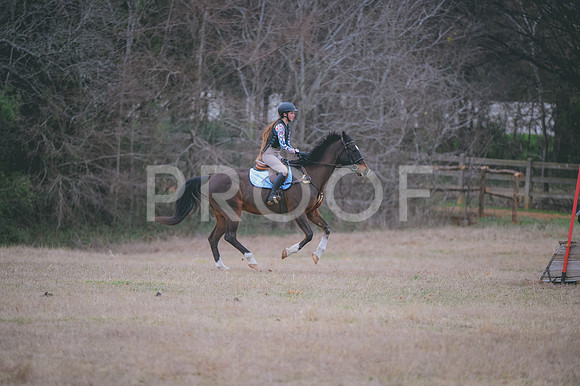 JJS_2202