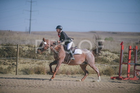 JJS_1471