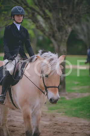 000_5284