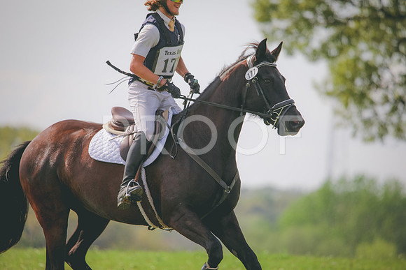 RWP_4271