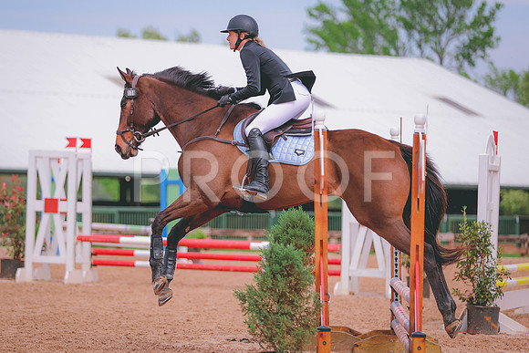 0N8A3101