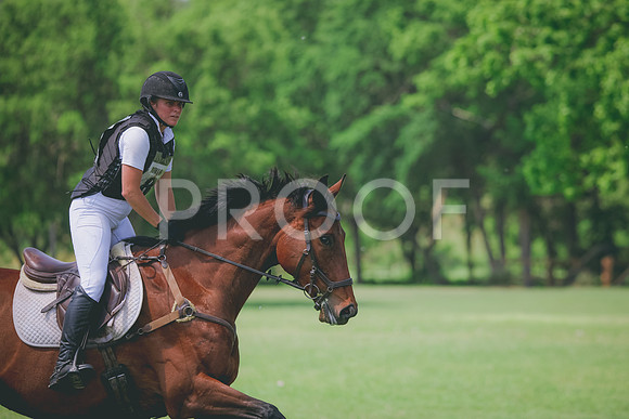 RWP_4601