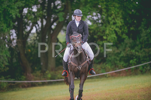 JJS_0273