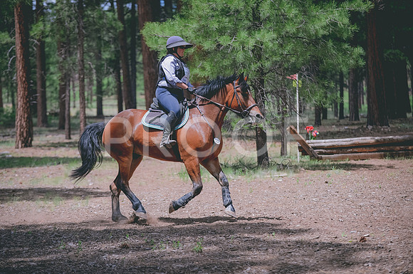 JJS_7723