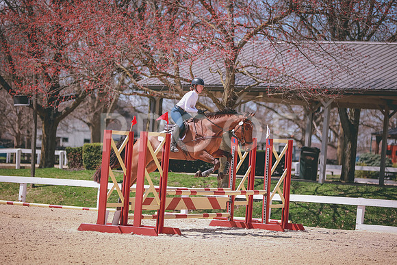 SNS_1553