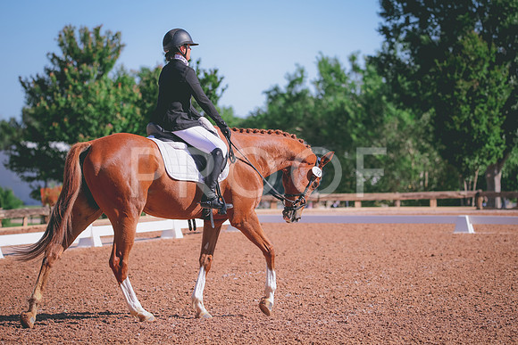 RWP_9537