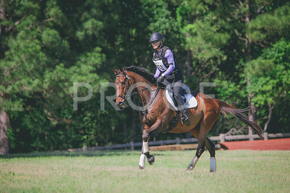 RWP_1289