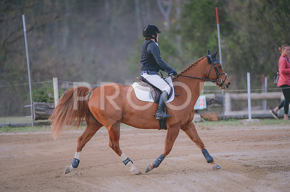 JJS_1207