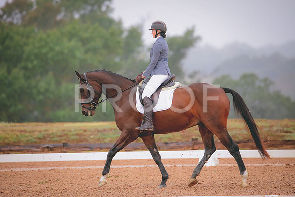RWP_1066