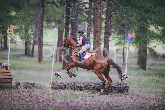 JJS_8049