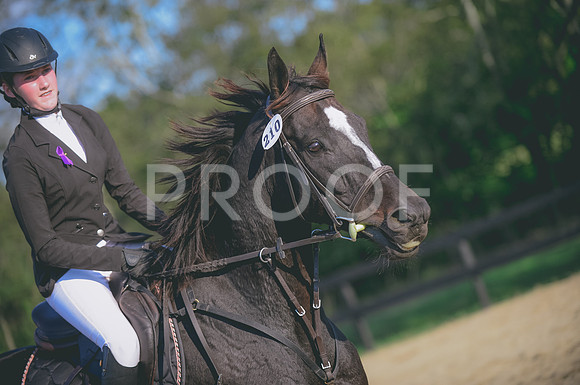 JJS_0519