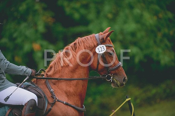 JJS_2687
