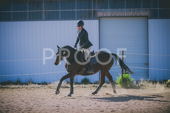 JJS_2713