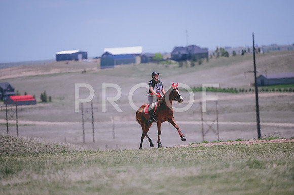 DSC_6279