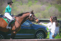 000_3919
