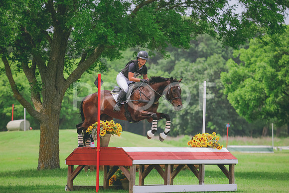 RWP_0296