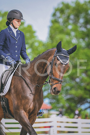 DSC_0433 copy