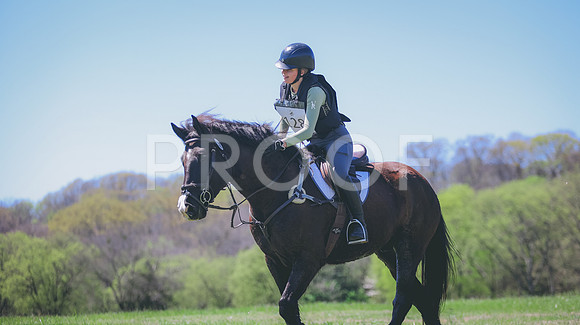 0N0A6376