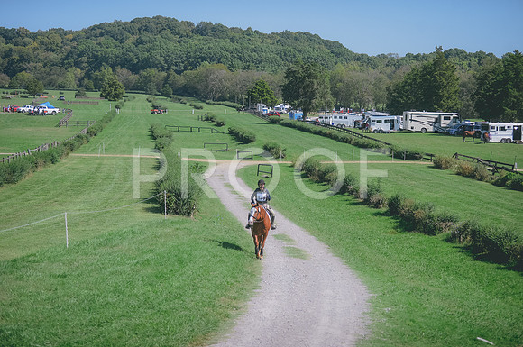 JJS_0990