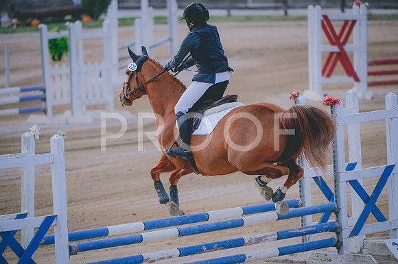 JJS_1177