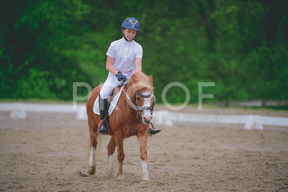 JJS_0789