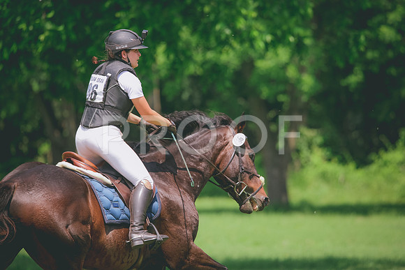RWP_4205