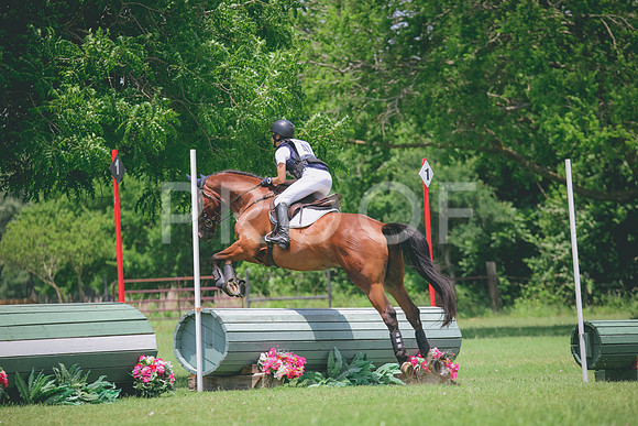 RWP_3184