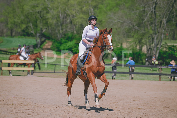 MEI_8257