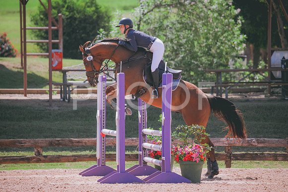 RWP_5195