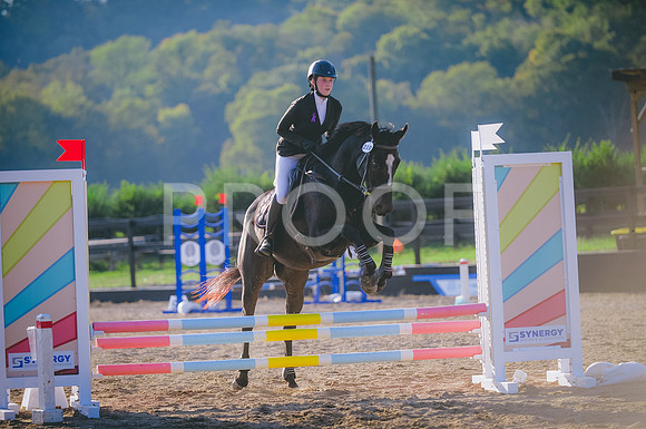 JJS_0441