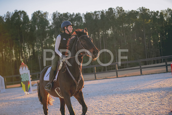 JJS_3388