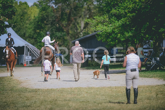 JJS_2932