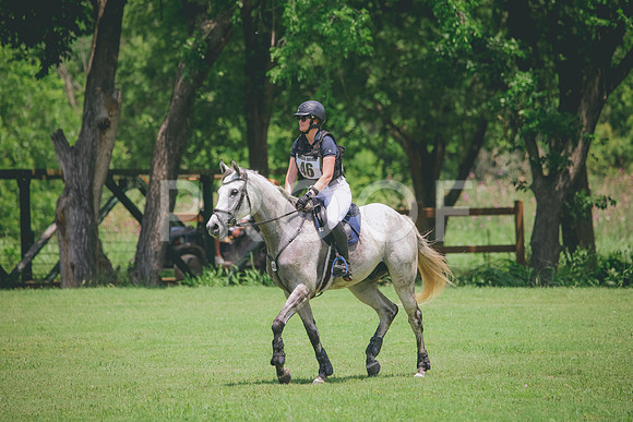 RWP_3140