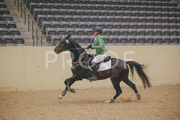 0N0A7121
