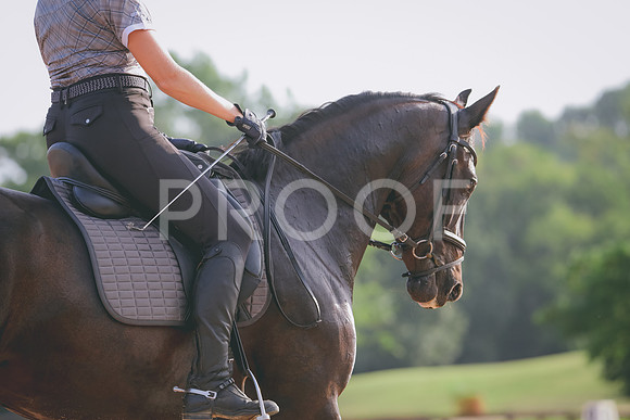 RWP_4235