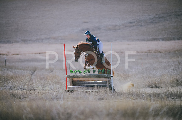 JJS_0246