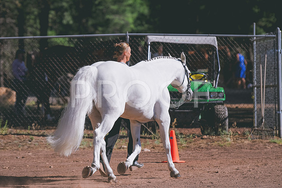 DSC_2542