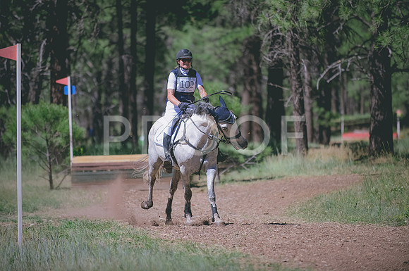 JJS_2920A
