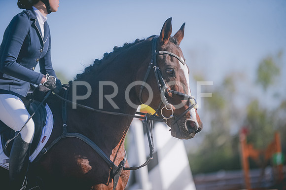JJS_5024A