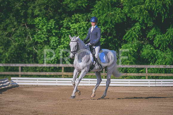 DSC_7501