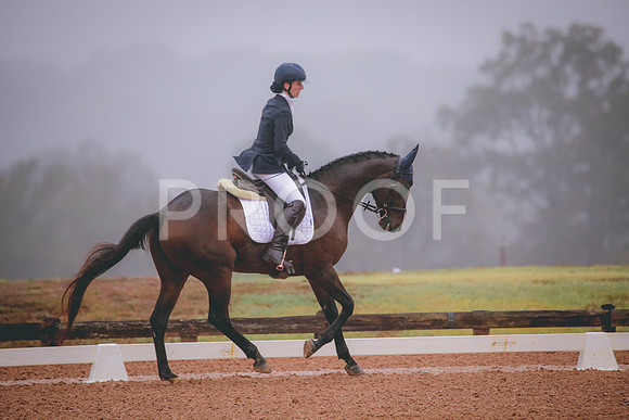 RWP_0788