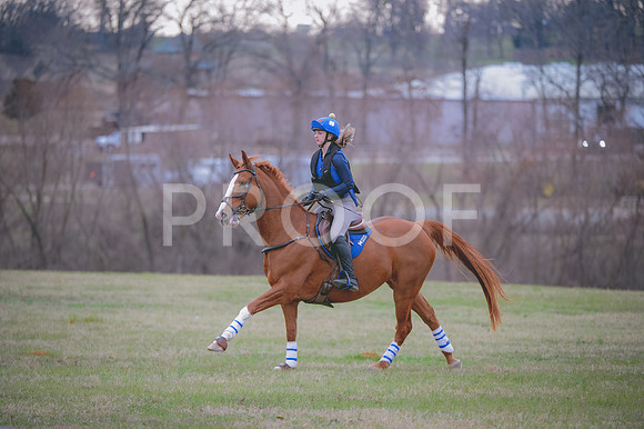 JJS_1279